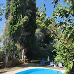 Georgina Apartments-pool-river Lejlighedshotel Mesongí