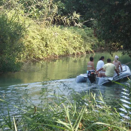 Georgina Месонги