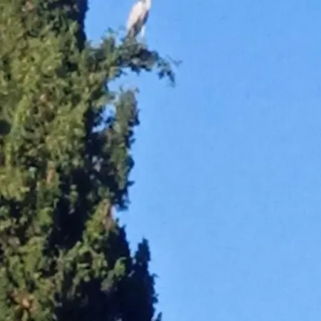 Georgina Апарт-отель