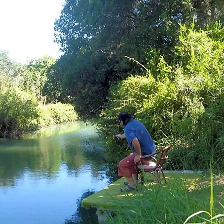 Georgina Apartments-pool-river Mesongí