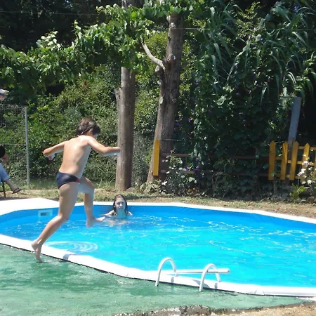 Georgina Apartments-pool-river 3* 梅松吉