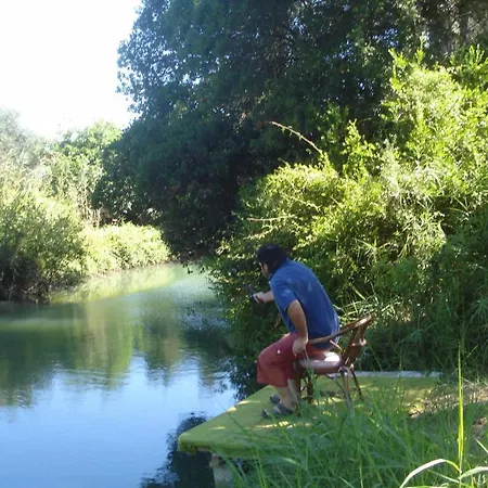 Georgina 3* Месонги