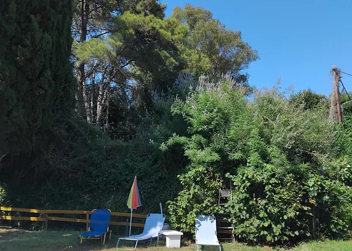 Georgina Apartments-pool-river