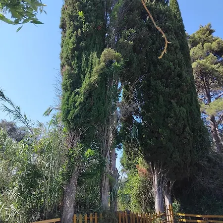 מלון דירות Georgina Apartments-pool-river 3*