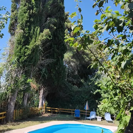 Georgina Apartments-pool-river 公寓式酒店 梅松吉